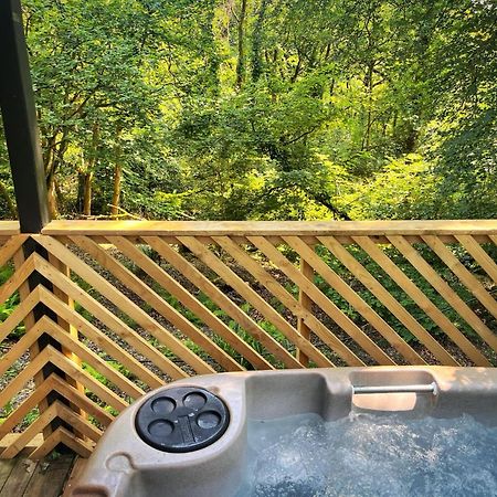 Goldcrest 3-Hot Tub-Woodland Lodges-Carmarthenshire-Tenby Екстериор снимка