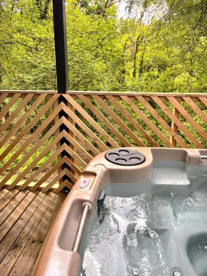 Goldcrest 3-Hot Tub-Woodland Lodges-Carmarthenshire-Tenby Екстериор снимка